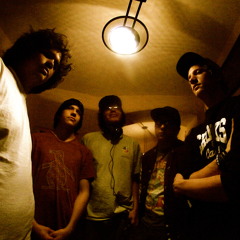 Dvc