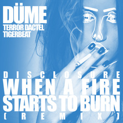 When a Fire Starts to Burn (DÜME Remix)
