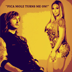 David Guetta vs Gaiola das Popozudas - Pica mole turns me on!