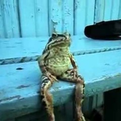 Thursday Chillin