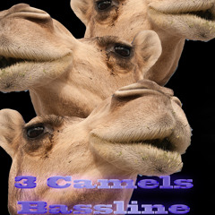 Turkish Bazar - Instanbul ( 3 Camels For A Bassline)