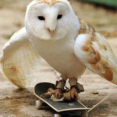 Dont Worry, Or Something