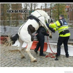 "U TUBE DAT BITCH" at Campbelton Riad