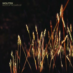 Pieces of The Earth EP [Free Download]