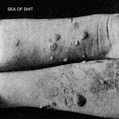 Sea Of Shit - Wishful Thinking