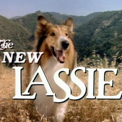 The New Lassie Main Title