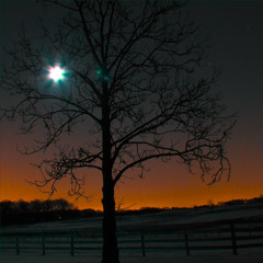 Oh Mother How Pretty the Moon Looks tonight