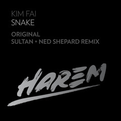 Kim Fai - Snake [Original Mix]