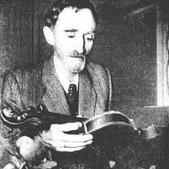 Lacustra by N. Niculae