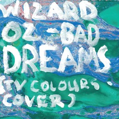 Bad Dreams (TV Colours cover)