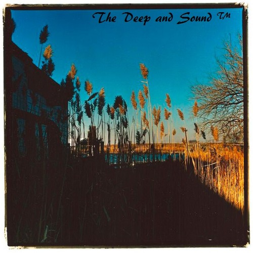 to build a home song wiki to build a home song wiki