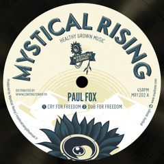 Paul Fox - Cry for Freedom + Dub for Freedom  -  VINYL MR1202 A Side