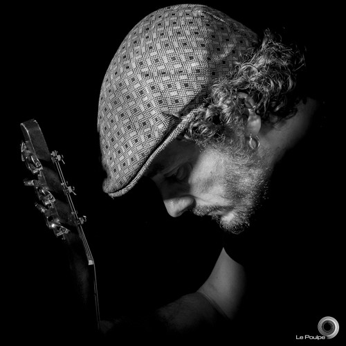 Muddy Waters - I Feel Like Going Home Blues