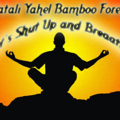 Fatali vs Yahel vs Bamboo Forest - Let's Shut up and Breathe by PNR