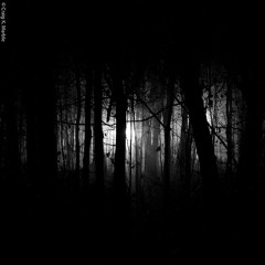 Zara Larsson - Uncover ft. OZONE