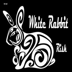 Risk (Original Mix)
