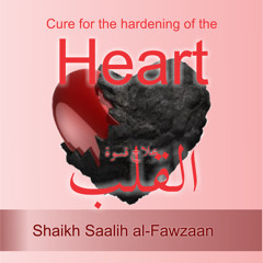 From The Shauokh
