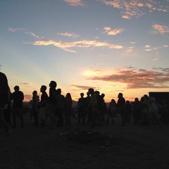 Ben Annand live at Moontribe in the Mojave Desert, Monday, August 19, 2013