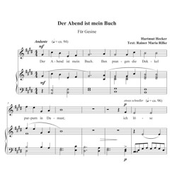 Der Abend ist mein Buch - The evening is my book