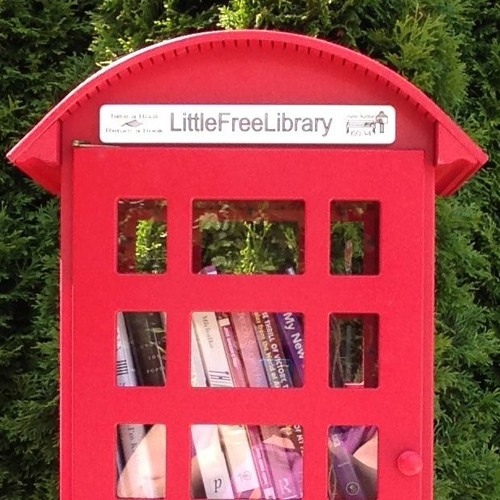 Little Free Library 6034 - Vancouver - CBC Interview