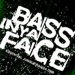 Bass In Ya Face - Dubz In Ya Rave - SUB Remix (clip)