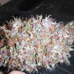 Spirit Man [Free because why the fuck not]