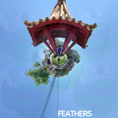Feathers