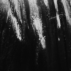 Bankley - Whispers [EN USO]