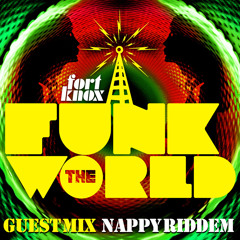 Nappy Riddem presents "Funk The World 17"
