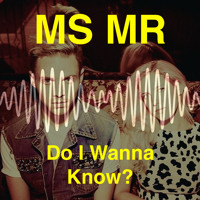 Arctic Monkeys - Do I Wanna Know? (MS MR Cover)
