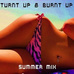 Turnt Up & Burnt Up Summer Mix (D/L Link in Description)