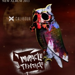 X Calibour - Nusantara (MIRACLE TENTACLE ALBUM 2013)