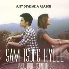 Just Give Me A Reason - Pink ft Nate Ruess (Sam Tsui & Kylee)
