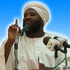 محمد حاج سيد