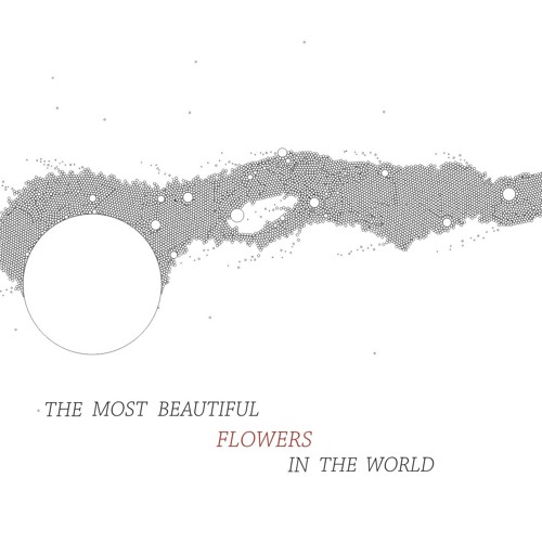 Rose. It Was Expected To Be A Symbol Of Love.