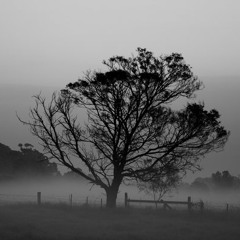 HARD-TEMPERED SPIRIT [teaser / see description]