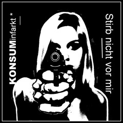 Stirb nicht vor mir (Rammstein Cover)