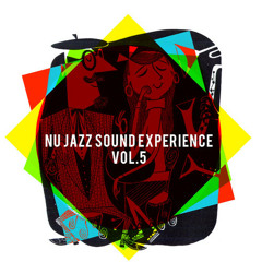 Nu Jazz Sound Experience Vol.5 | The Swing Side of The Moon | FREE DOWNLOAD