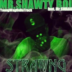 Strawng feat. Mr.Swaag