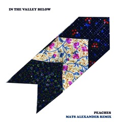 In The Valley Below - Peaches (Mats Alexander Bootleg Remix)