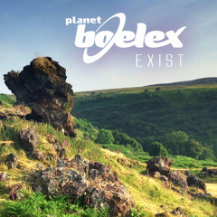 Planet Boelex & Mosaik - Space Walrus