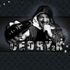 Cedry2k - Contra Cost (Cu Nimeni Altu Si Dj Faibo X)