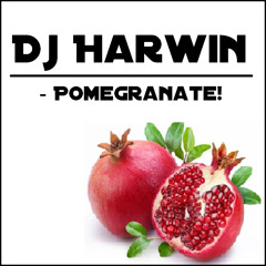 Dj Harwin - Pomegranate! (Original Mix!)