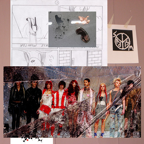 16 ◆ Brown Recluse Alpha