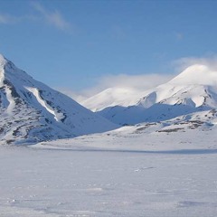 Arctic Wanderer