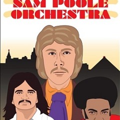 Allister Whitehead & The Sam Poole Orchestra-Take Some Time Out (Blu-Sky Remix)