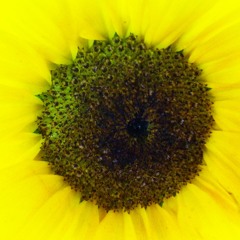 The one who talks about the future is a rascal. The present is the only thing that matters.