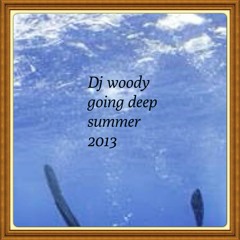 Nu disco, DeepHouse 2013 Dj woody bel