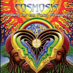 Clip from "Empty Space" by Cosmosis & Quantica (2009)