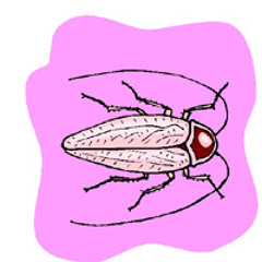 I CAN control 바퀴벌래